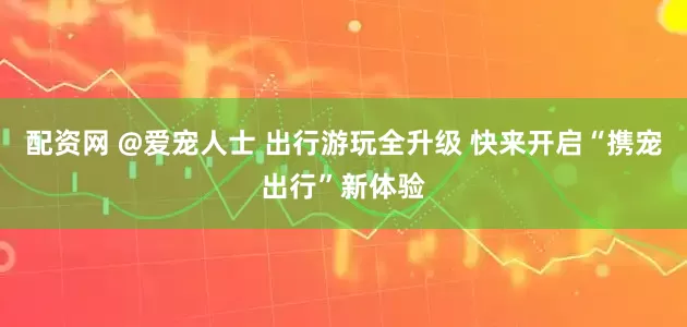 配资网 @爱宠人士 出行游玩全升级 快来开启“携宠出行”新体验