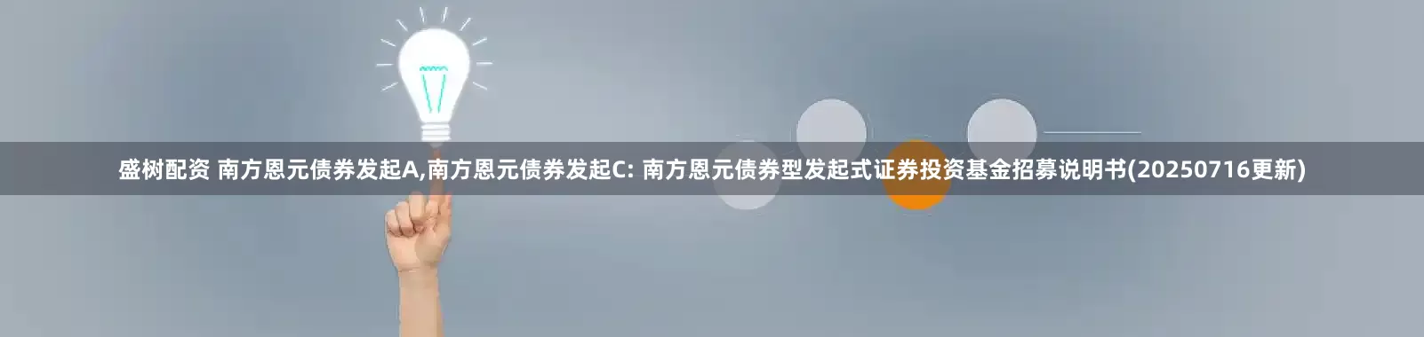 盛树配资 南方恩元债券发起A,南方恩元债券发起C: 南方恩元债券型发起式证券投资基金招募说明书(20250716更新)