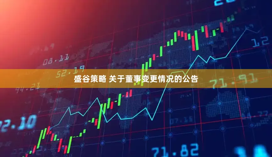 盛谷策略 关于董事变更情况的公告