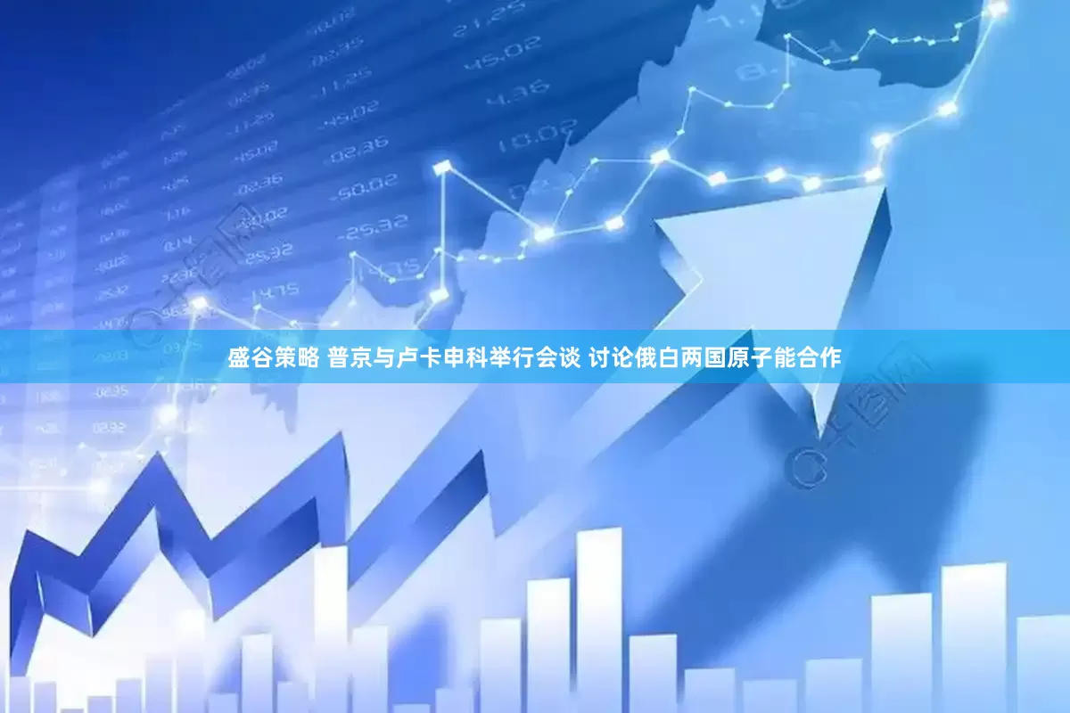 盛谷策略 普京与卢卡申科举行会谈 讨论俄白两国原子能合作